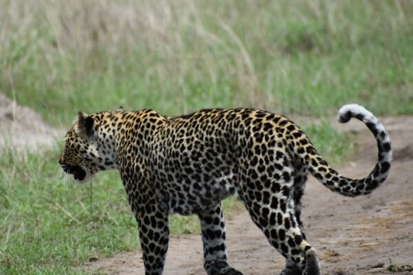 Group Adventure Holiday – 7 Days